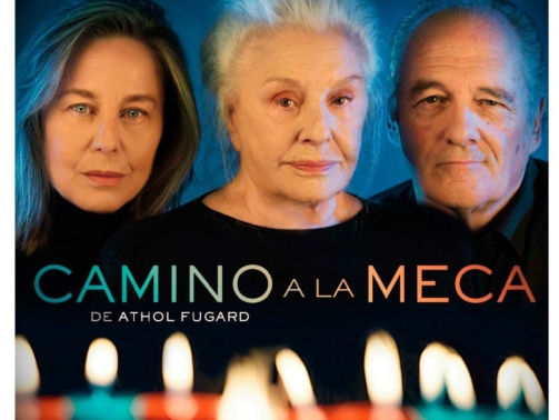 15camino a la meca